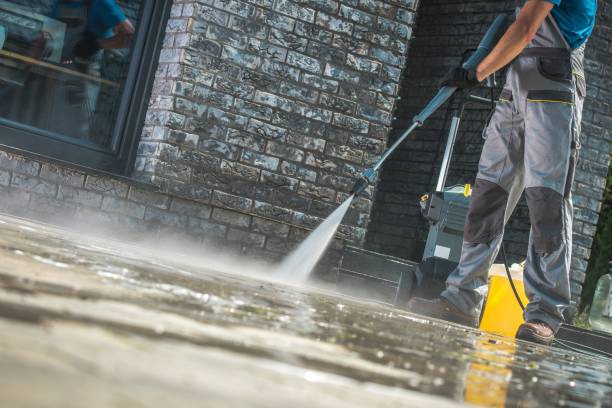 Best Animal Enclosure Cleaning  in Orleans, IN